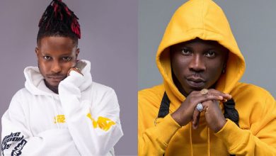 Photo of Yaa Pono Fires Stonebwoy And Kelvynboy, Urging Them To Kill Each Other If They Want.