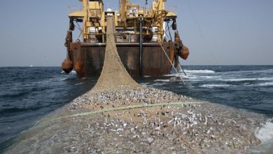 Photo of Stop Illegal Transshipment Of Fish On Ghanaian Waters