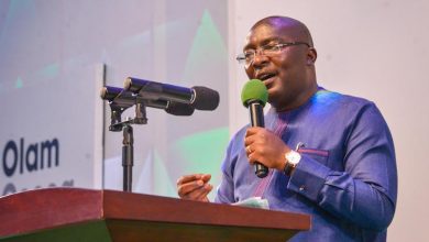 Photo of Pwalugu Dam Is The Biggest Investment Done By Any Gov’t In Northern Region Since Independence – Dr. Bawumia