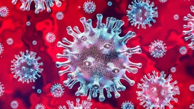 Photo of Coronavirus cases begin to fall in Africa