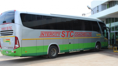 Photo of Members of Western Togoland allegedly beat up STC drivers, burn bus