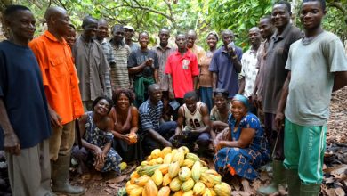 Photo of COCOBOD Inaugurates Wassa Amenfi Cocoa Farmers Cooperative Union