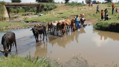 Photo of Ahuntumano Community Shares Streams and rivers With Livestock
