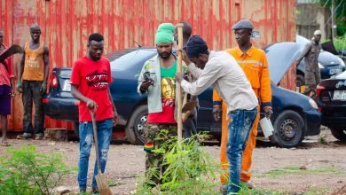 Photo of RAS TAFARI COUNCIL CALLS ON EKMA AND STMA TO PROTECT TREES AFTER PLANTING