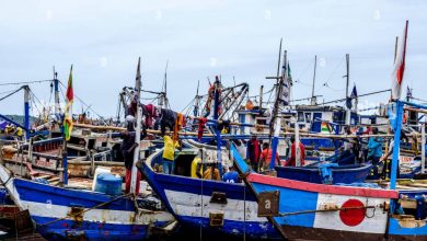 Photo of Chief Fishermen in Western Region Cry Out Over inadequate supply of  Premix