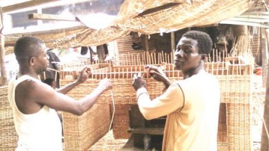 Photo of Cane Weavers Complain Of Inadequate Supply Of Raw Materials