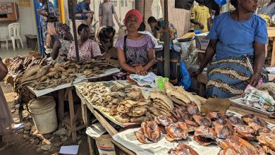 Photo of Fishmongers in the Sekondi – Takoradi Confirm Increase in Prices of Fish