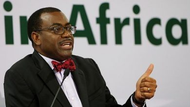 Photo of President of AfDB Group Charges Africa’s Agric To Harness The Potential To Feed The World.