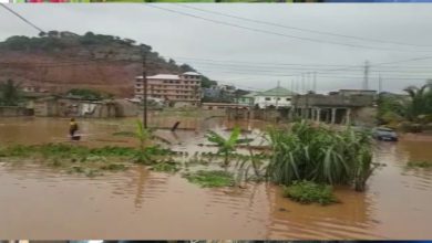 Photo of Stop rezoning wetlands for residential areas – Institution of Engineering and Technology warns