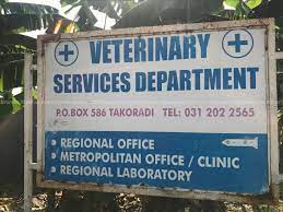 Photo of Seek Expert Advice Before Starting Poultry Farming – Veterinary Director