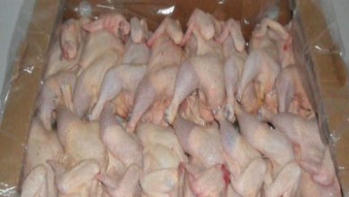 Photo of Demand For Imported Chicken Increases Amongst Residents In Sekondi-Takoradi