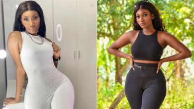Photo of Wendy Shay Advises Ghanaian Artistes to seek help from their Fellow Nigerian Artistes