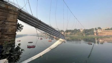 Photo of Bridge With Hundreds of People Collapses into River in Western India