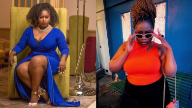 Photo of Don’t Trust Any Minister Who Resigns to Run for President — Lydia Forson
