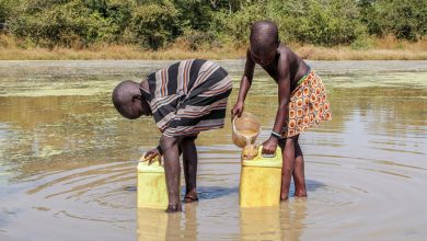 Photo of Effort To Eradicate Guinea Worm Disease Enters ‘Most Difficult’ Phase