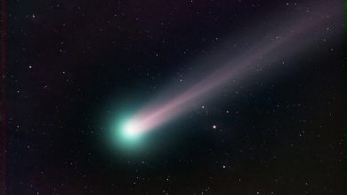 Photo of Green Comet Will Appear in The Night Sky for The First Time In 50,000 Years