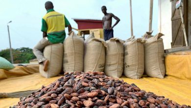 Photo of COCOBOD intercepts over 1,500 bags of cocoa being smuggled
