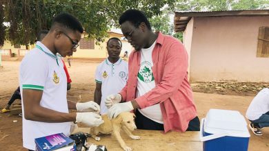 Photo of Western Region among top 4 regions with high rabies cases recorded