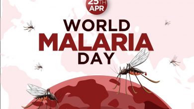 Photo of World Malaria Day Marked With A Call To Commit Resources To Fight Malaria