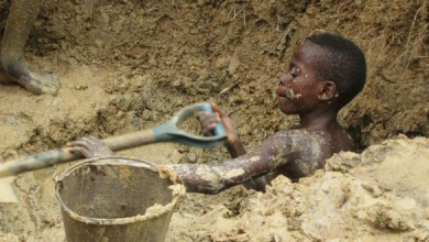 Photo of 21 % of Ghanaian Children Engaged In Some Form of Child Labour