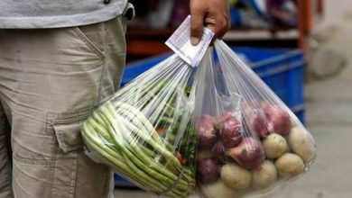 Photo of New Zealand bans thin plastic bags for fresh produce in supermarkets