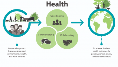 Photo of One Health Approach Needed To Ensure Sustainability Of Life – W/R, Director Of Veterinary Services Says