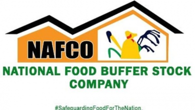 Photo of Delay In Documentation Hindering Payments Of NFSA – NAFCO