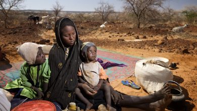 Photo of UN expresses grave concern for Niger’s poorest because of coup