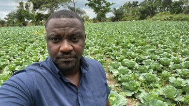 Photo of If I had a fraction of Cecilia Dapaah’s $1m, imports of onions and tomatoes will reduce -John Dumelo
