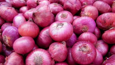 Photo of Our Businesses Are In Jeopardy – Onion Traders’ Lament