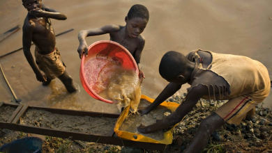 Photo of EKMA Says It Is Working To Halt Child Labour