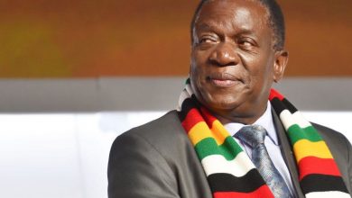 Photo of Outrage as Zimbabwe president names son as deputy finance minister