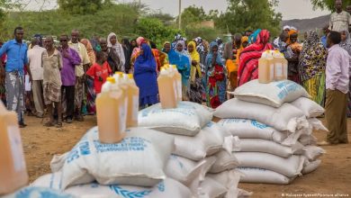 Photo of EU temporarily suspends food aid to Somalia amid widespread theft