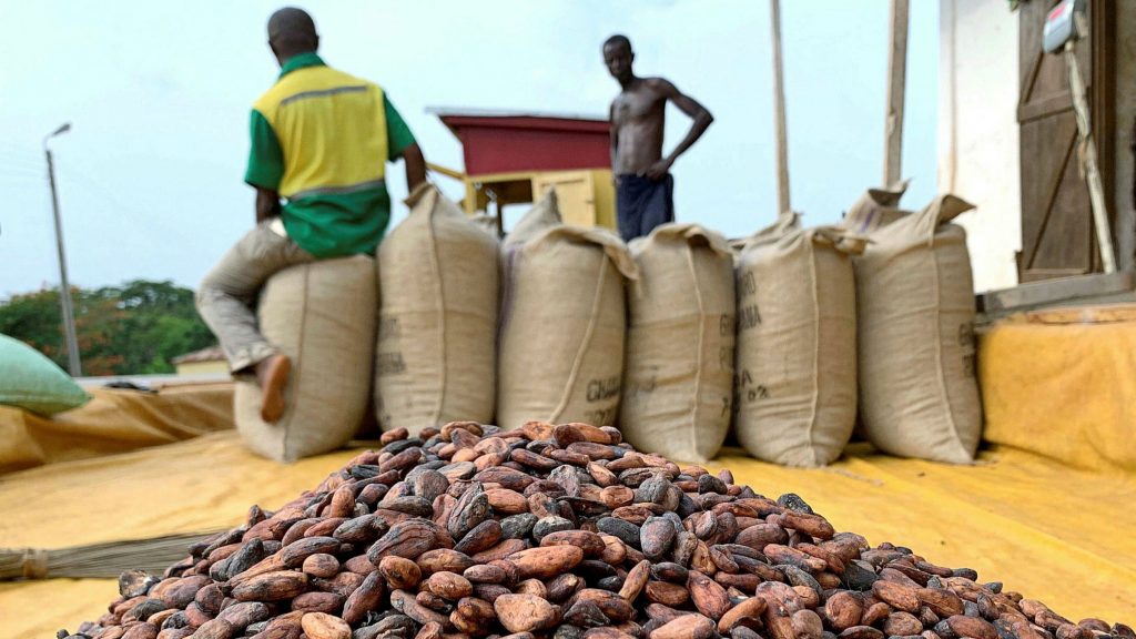 The Minority are accusing the government, alleging that cocoa farmers are being shortchanged for the new price of a bag of cocoa.