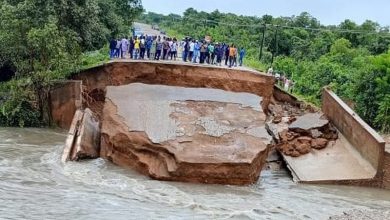 Photo of Roads Ministry reopens the Doli Bridge on a temporary basis