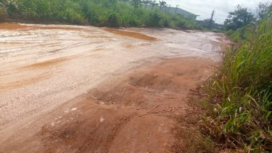 Photo of Residents Of Inchaban Nkwanta Grapple With Poor Road Network