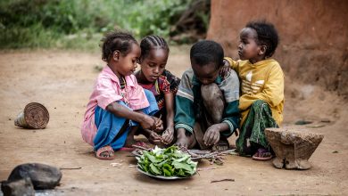 Photo of Mozambique: Health authorities concerned as chronic child malnutrition rises