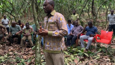 Photo of Producer Price Of Cocoa Is Fair Deal For Farmers – CEO, COCOBOD