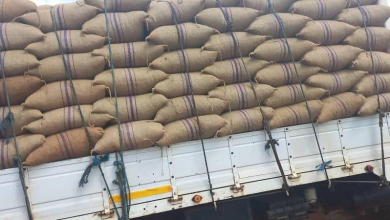 Photo of Despite An Increase In Price, Farmers Are Still smuggling Cocoa Into Ivory Coast –