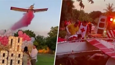 Photo of Mexico: Pilot dies after plane crashes during stunt for gender reveal