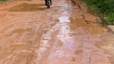 Photo of Nzema Youth Association and Residents of Jomoro Express Unhappiness Over Sameye’s Bad Roads; Call for Urgent Action from Ghana Gas