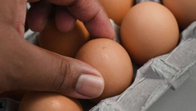 Photo of South Africa: Supermarket retailers start rationing eggs amid bird-flu outbreak