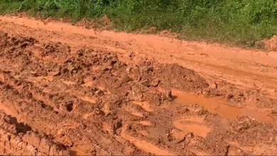 Photo of Deplorable Roads Pose Danger To Socio-Economic Activities In Assemkrom
