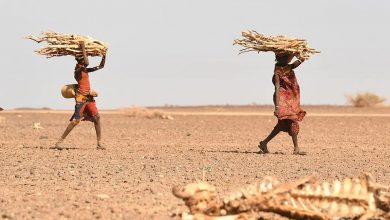 Photo of Ethiopia: At least 50 people have died of hunger amid drought