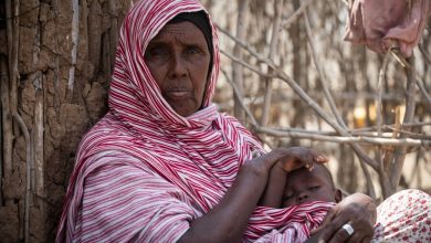 Photo of Ethiopia: Dozens more die of hunger in Tigray region as drought worsens