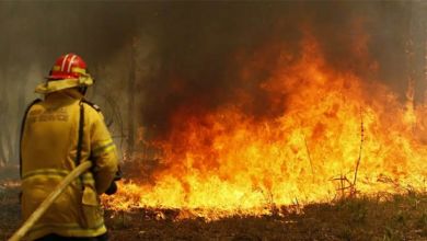 Photo of Ghana National Fire Service (GNFS) Issues Caution Against Bush Burning in Harmattan Season