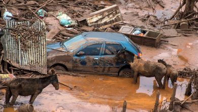 Photo of Federal judge orders mining giants to pay $9.67 billion in damages for Brazil dam burst