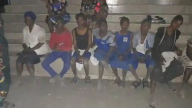 Photo of Nigeria: Kidnapped pupils and teachers freed in Ekiti, but school bus driver killed