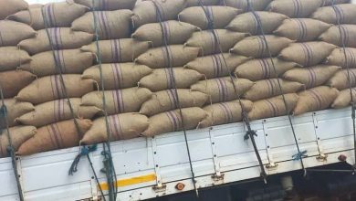 Photo of GIS intercepts alleged cocoa smuggling operation in Volta Region