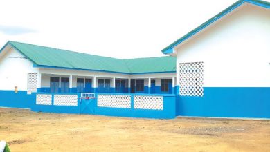 Photo of Public elementary schools to be repainted blue and white